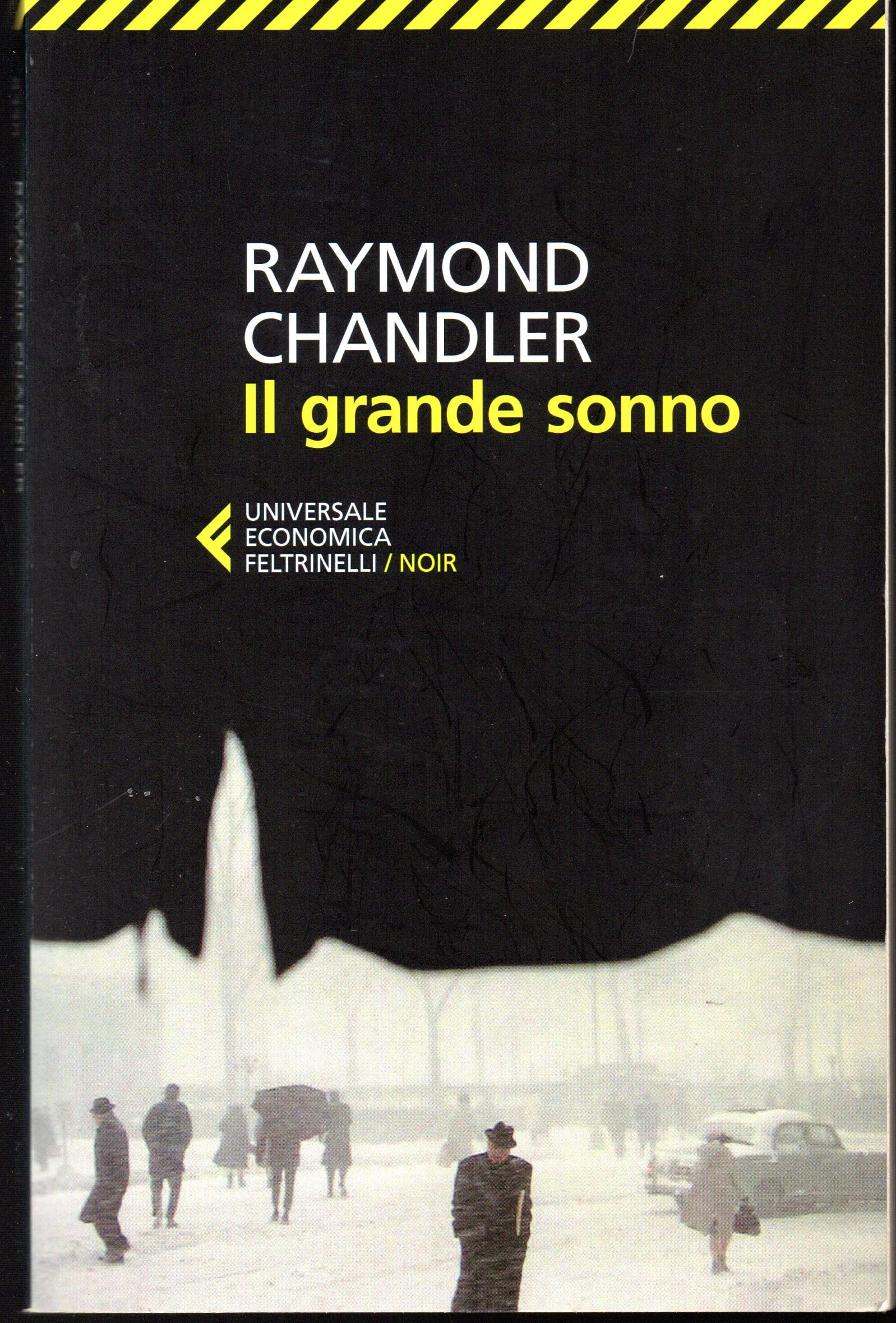 Il grande sonno (Universale economica) Contemporary literature