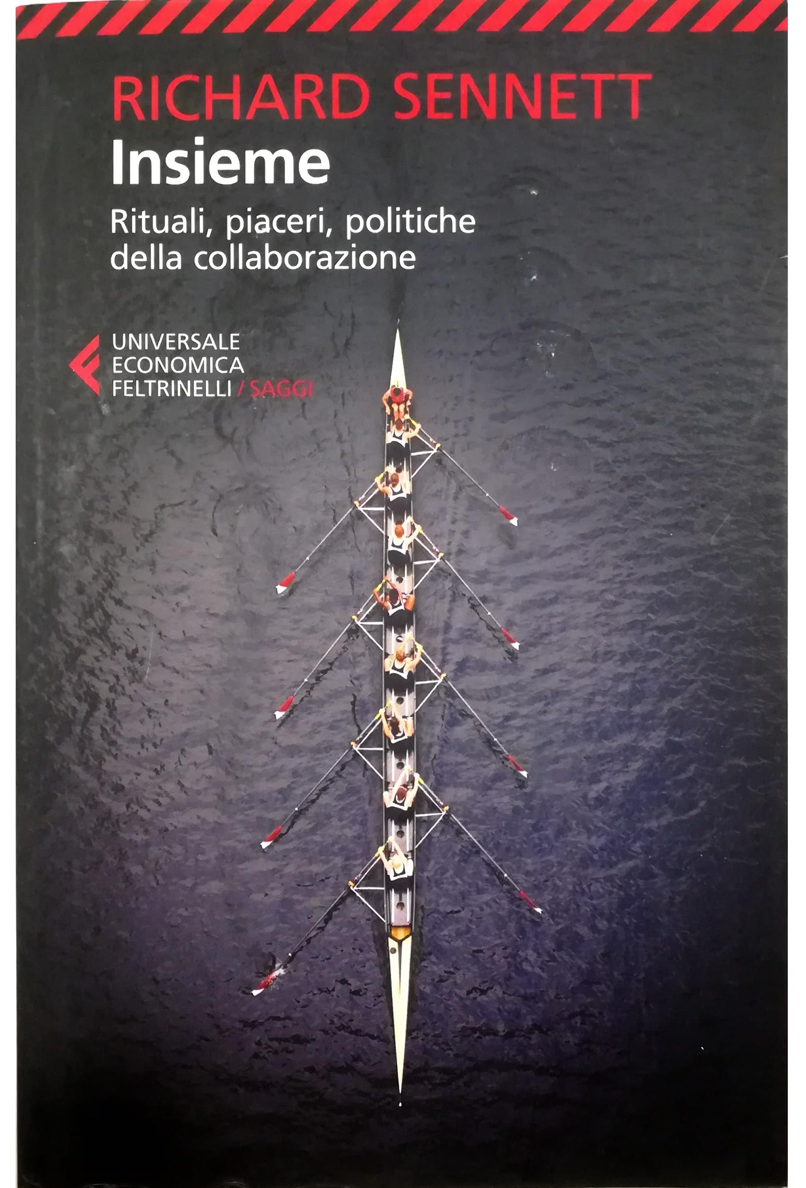 Insieme (Universale economica. Saggi, Band 8358) Social Sciences