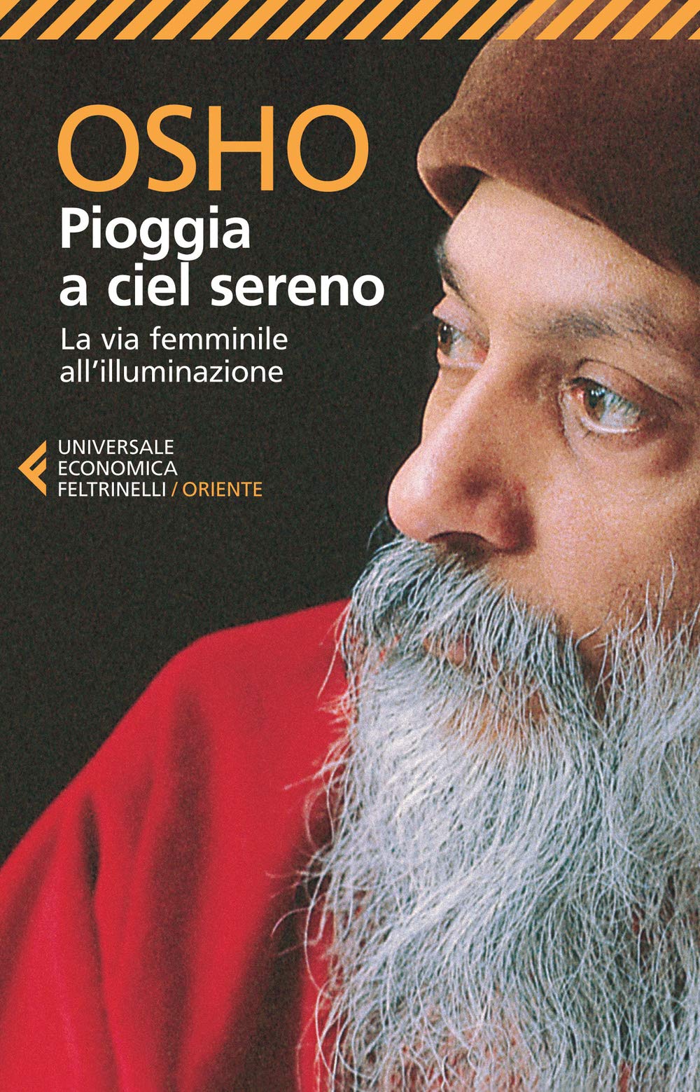 Pioggia a ciel sereno. La via femminile all'illuminazione book