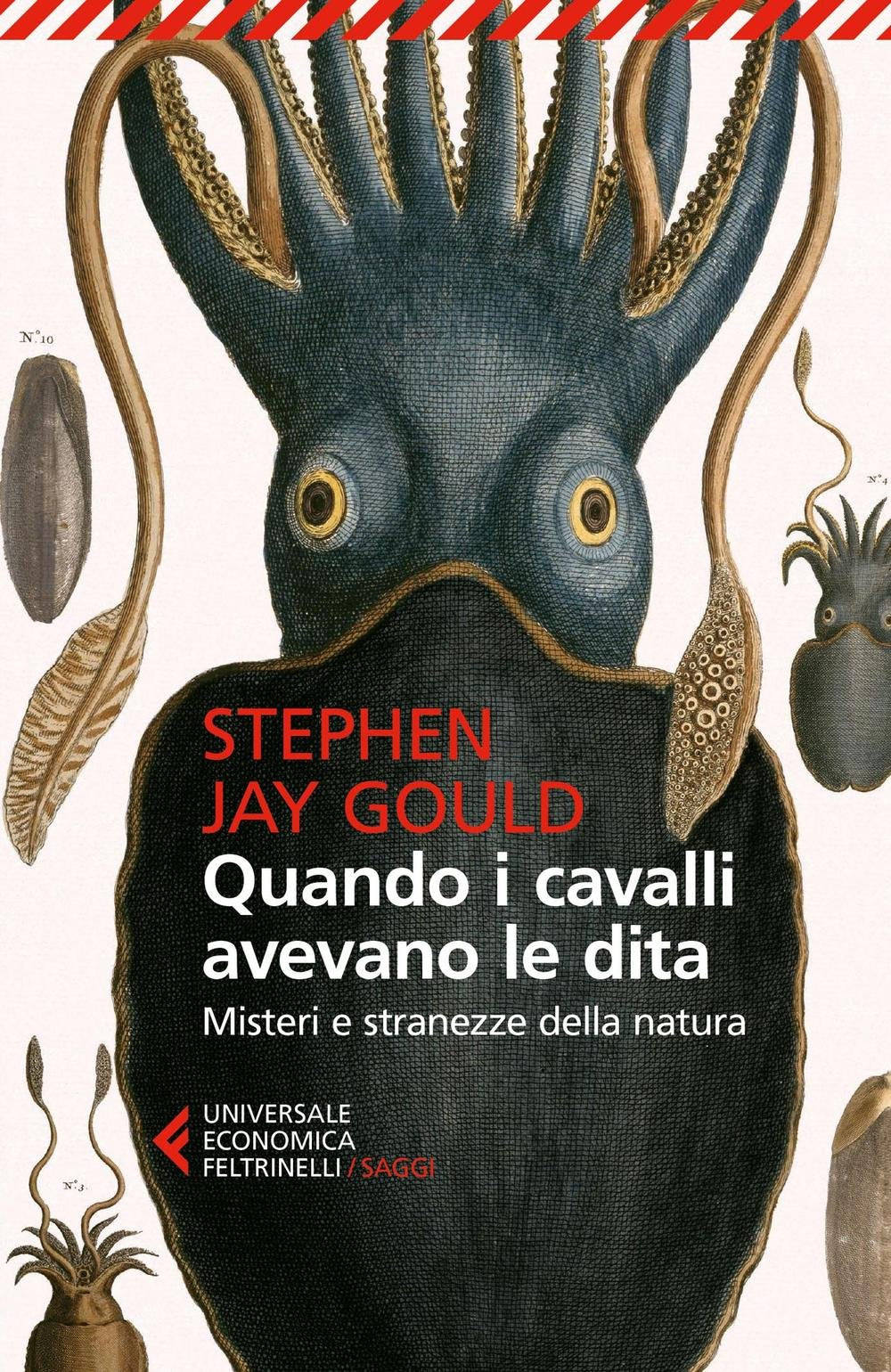 Quando i cavalli avevano le dita. Misteri e stranezze della natura book