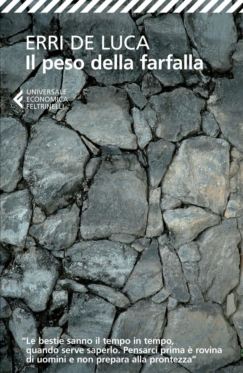 Il peso della farfalla (Universale economica, Band 8686) Contemporary literature