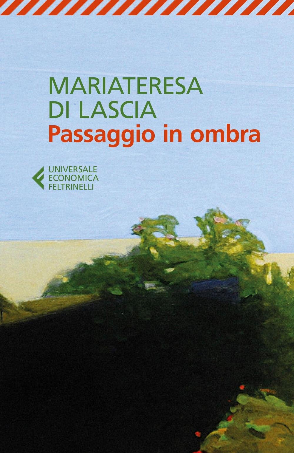 Passaggio in ombra book