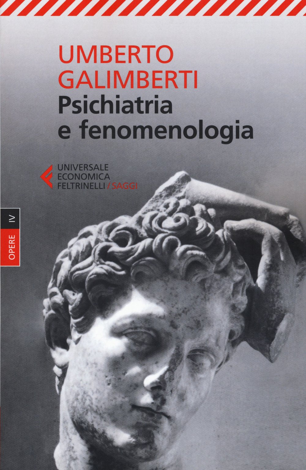 Psichiatria e fenomenologia: 4 (Universale economica. Saggi) Medicine