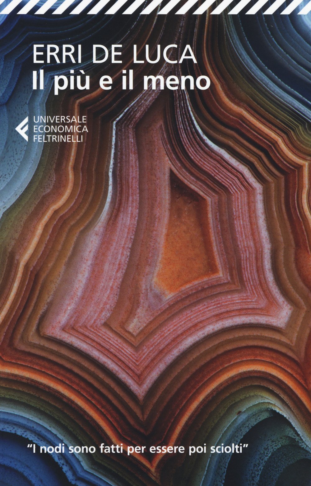 Il più e il meno (Universale economica, Band 8957) Contemporary literature