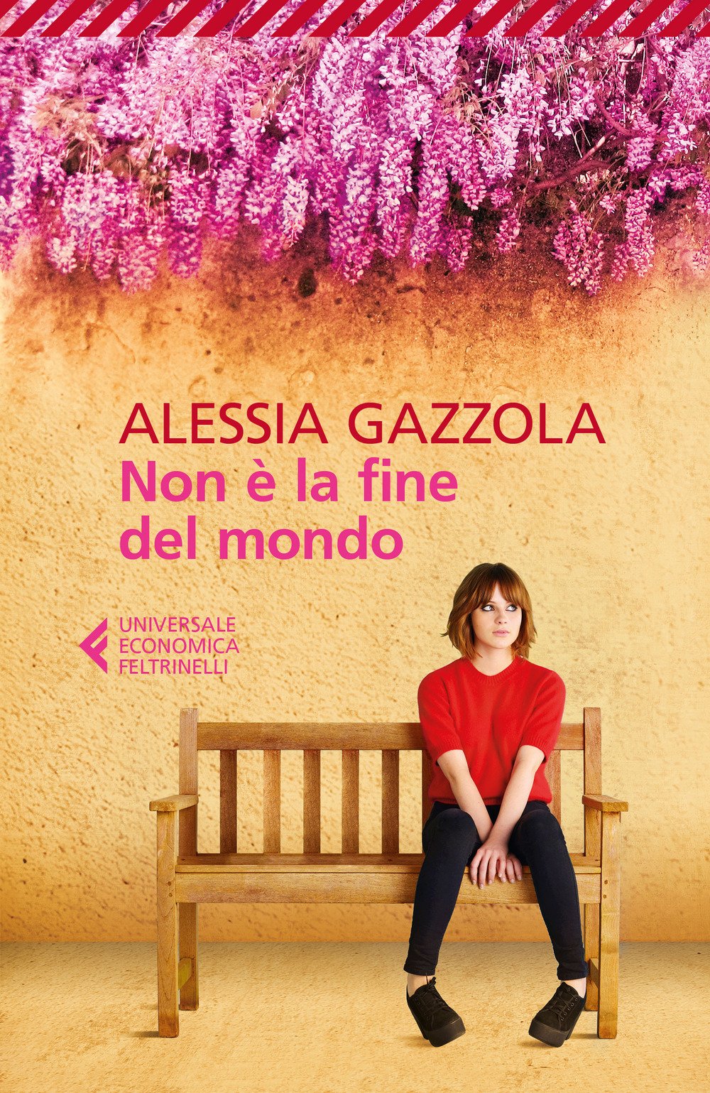 Non è la fine del mondo book