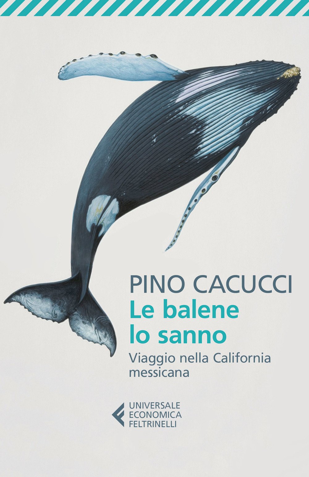 Le balene lo sanno. Viaggio nella California messicana Leisure, Home & Garden