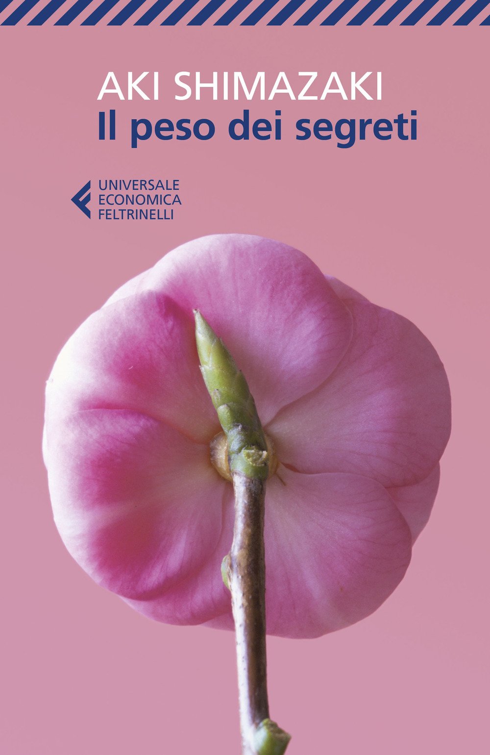 Il peso dei segreti Contemporary literature