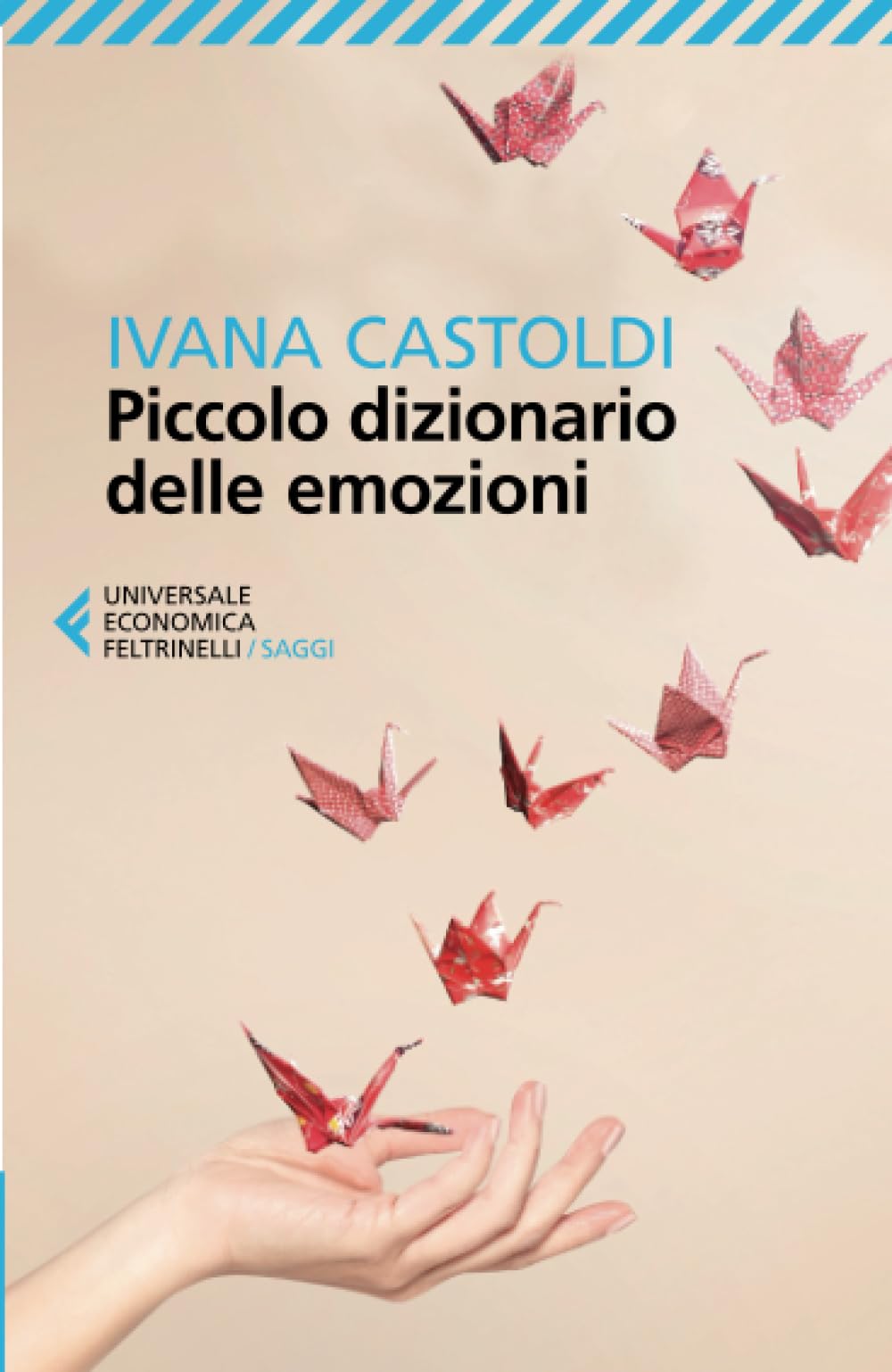 Piccolo dizionario delle emozioni book