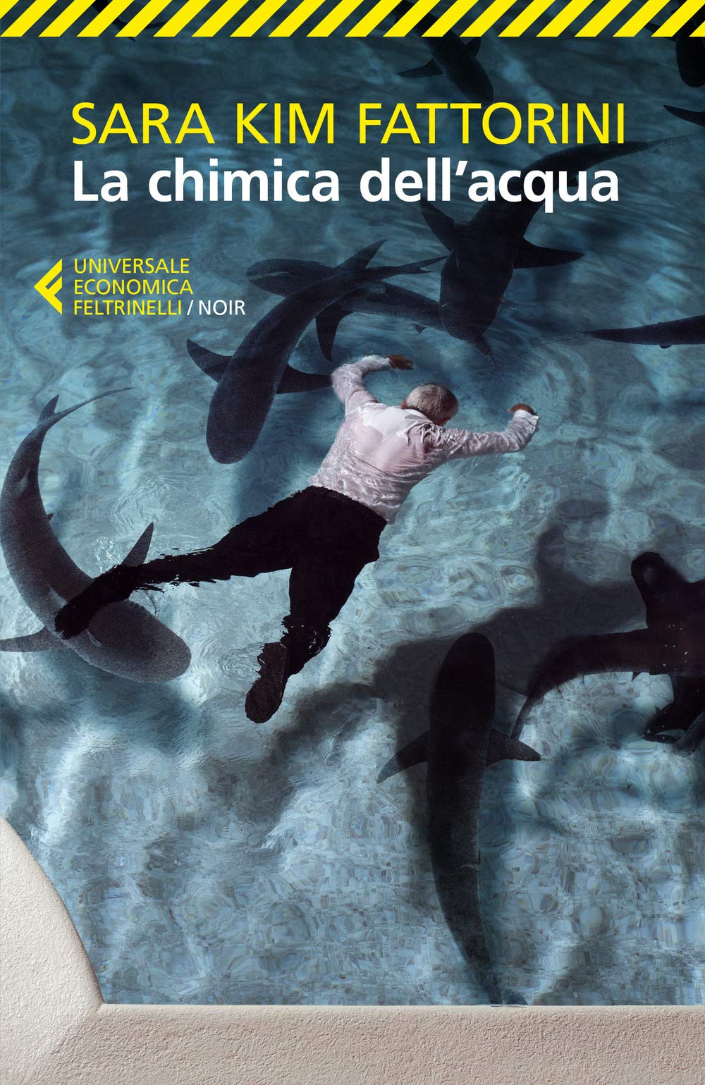 La chimica dell'acqua book