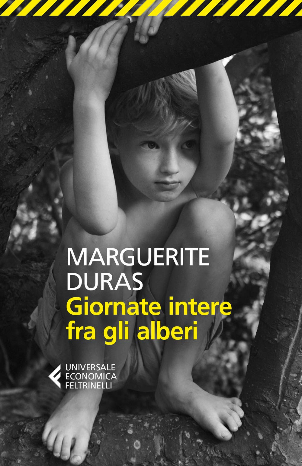 Giornate intere fra gli alberi book