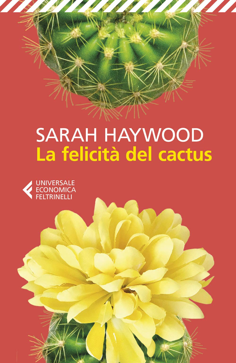La felicità del cactus book