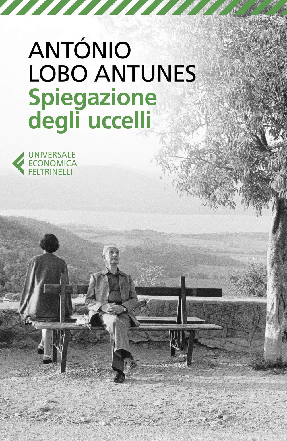 Spiegazione degli uccelli (Universale economica) Contemporary literature