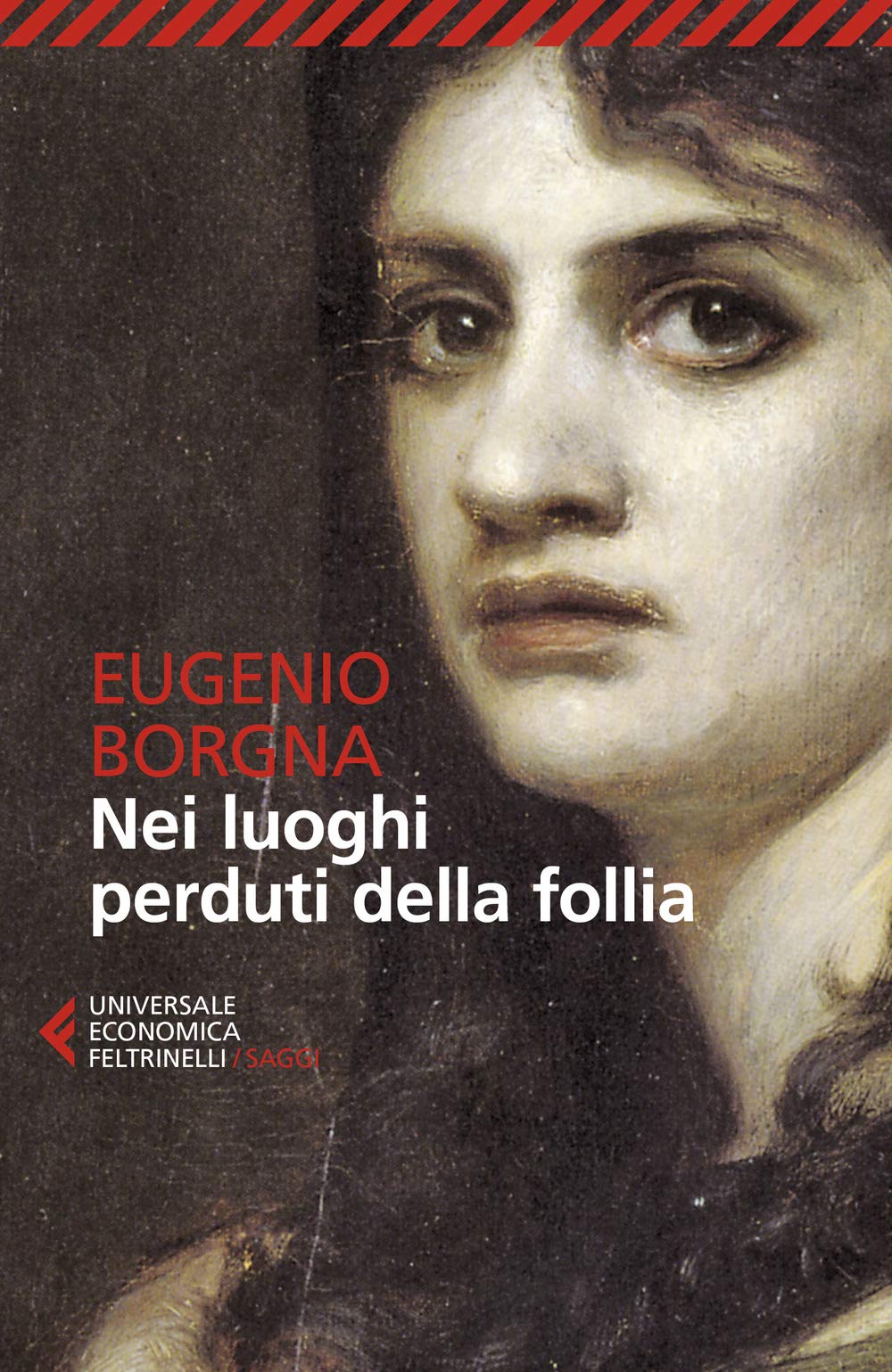 Nei luoghi perduti della follia book