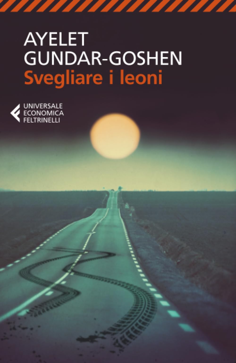 Svegliare i leoni book