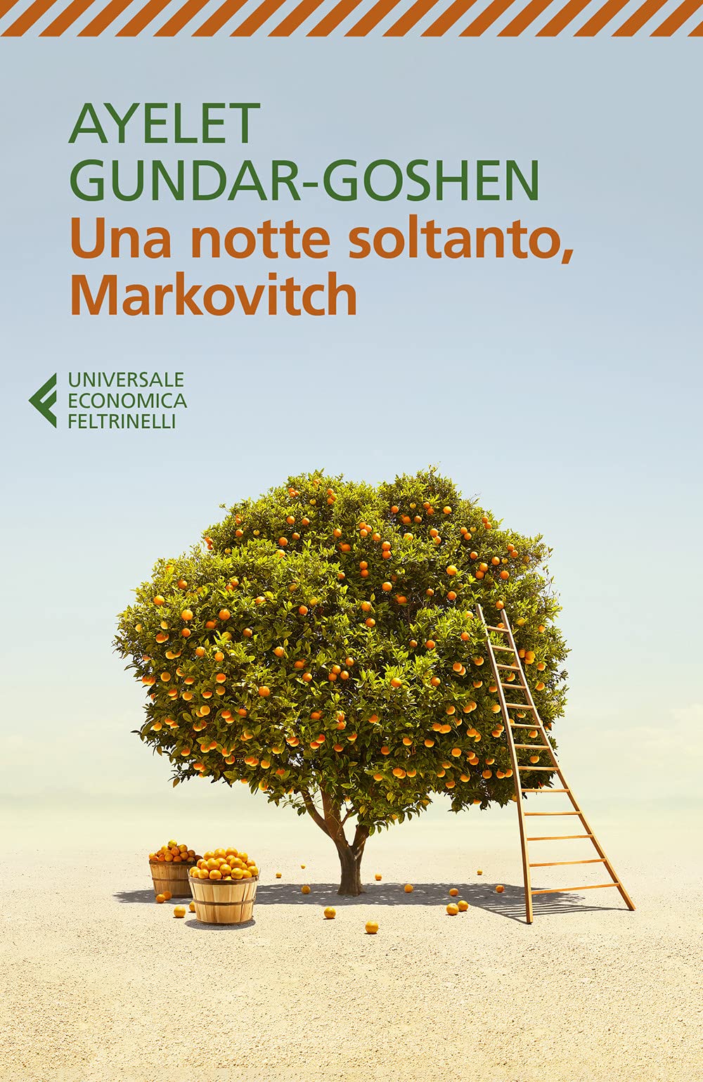 Una notte soltanto, Markovitch (Universale economica) Contemporary literature