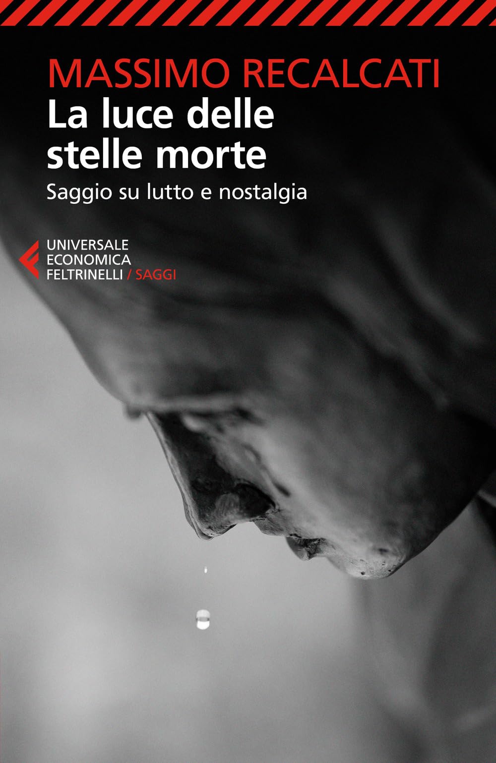 La luce delle stelle morte. Saggio su lutto e nostalgia (Universale economica. Saggi) Death & Mourning