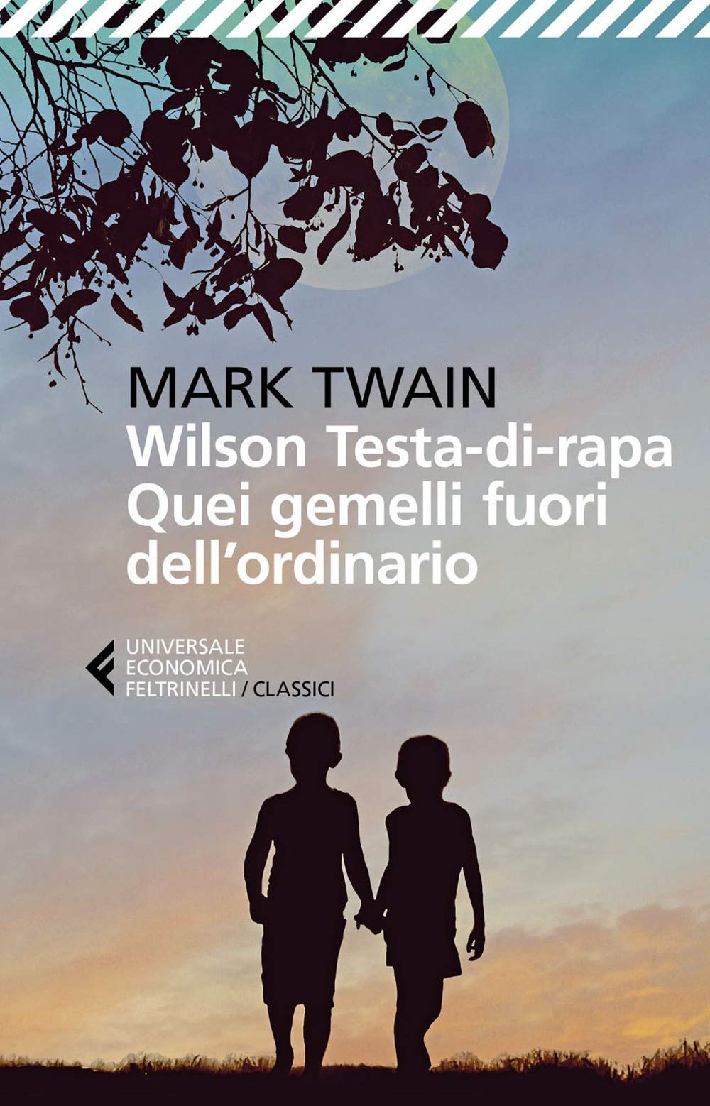 Wilson Testa-di-rapa Quei gemelli fuori dall'ordinario book
