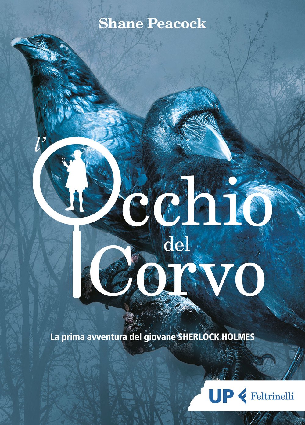 L'occhio del corvo. La prima avventura del giovane Sherlock Holmes book