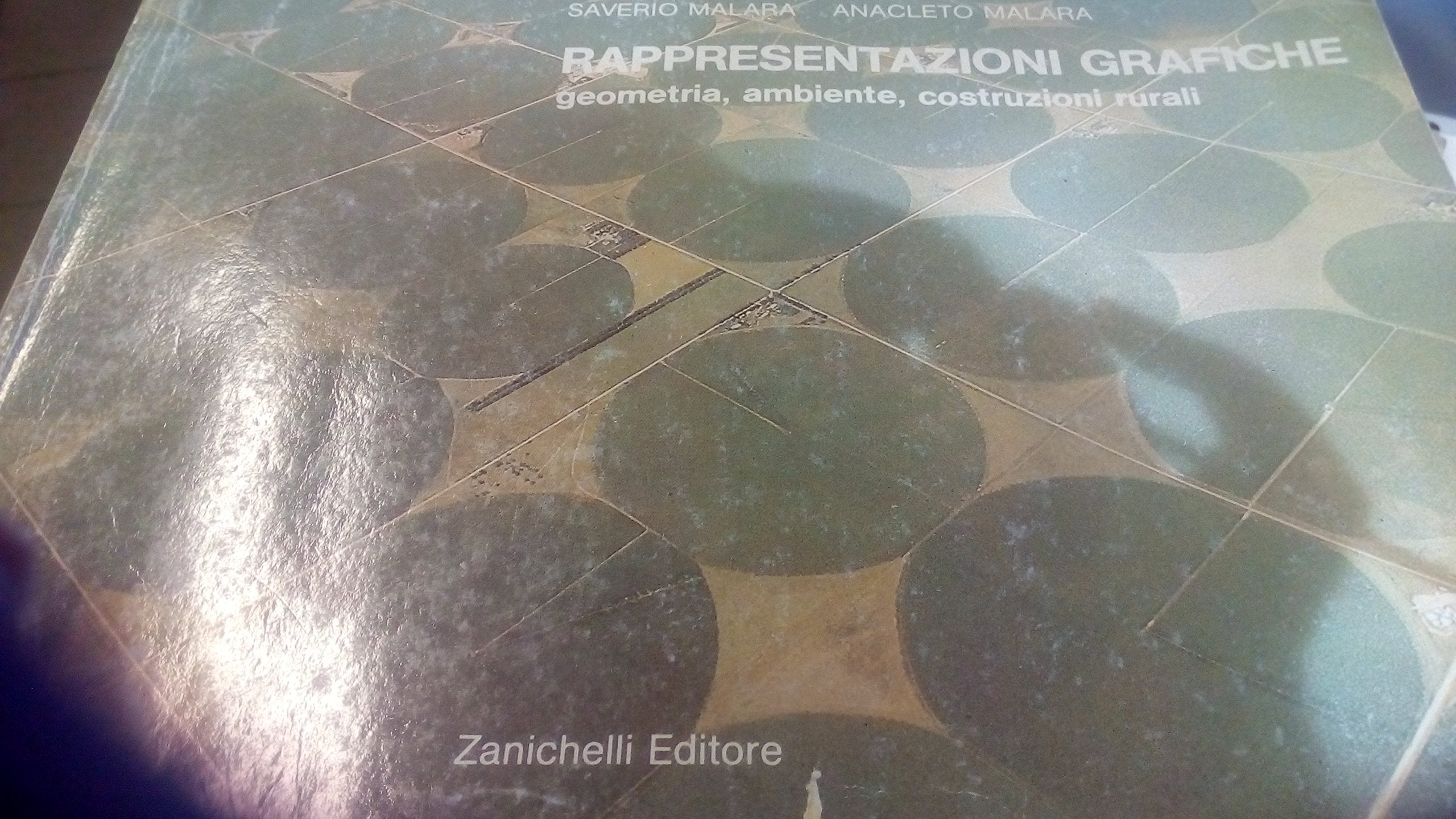 Rappresentazioni grafiche, geometria, ambiente, costruzioni rurali. Per gli Ist. Tecnici agrari Non-fiction