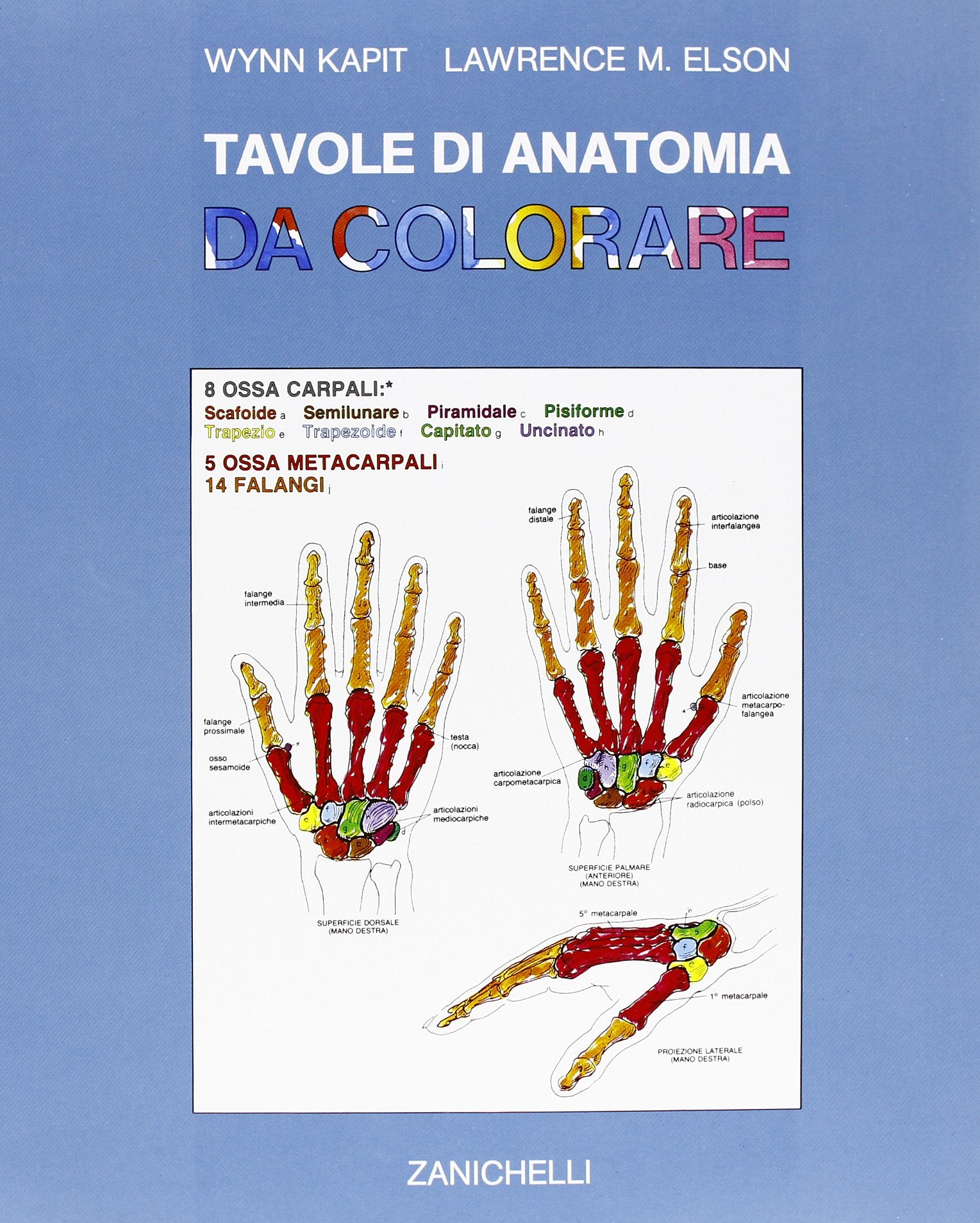 Tavole di anatomia da colorare. Per gli Ist. D'arte book