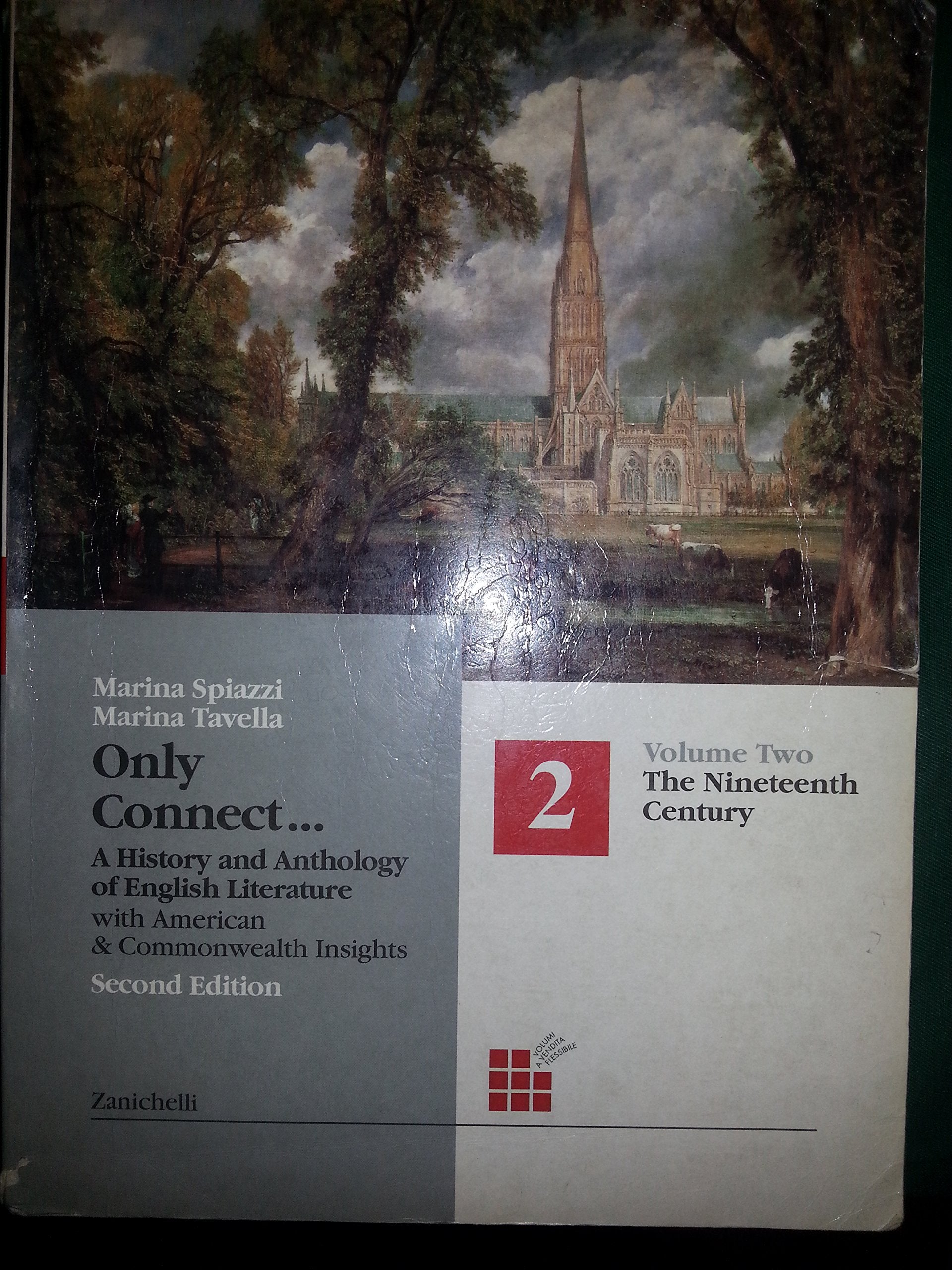 Only connect. A history and anthology of english literature. Per le Scuole superiori. The nineteenth century (Vol. 2) book