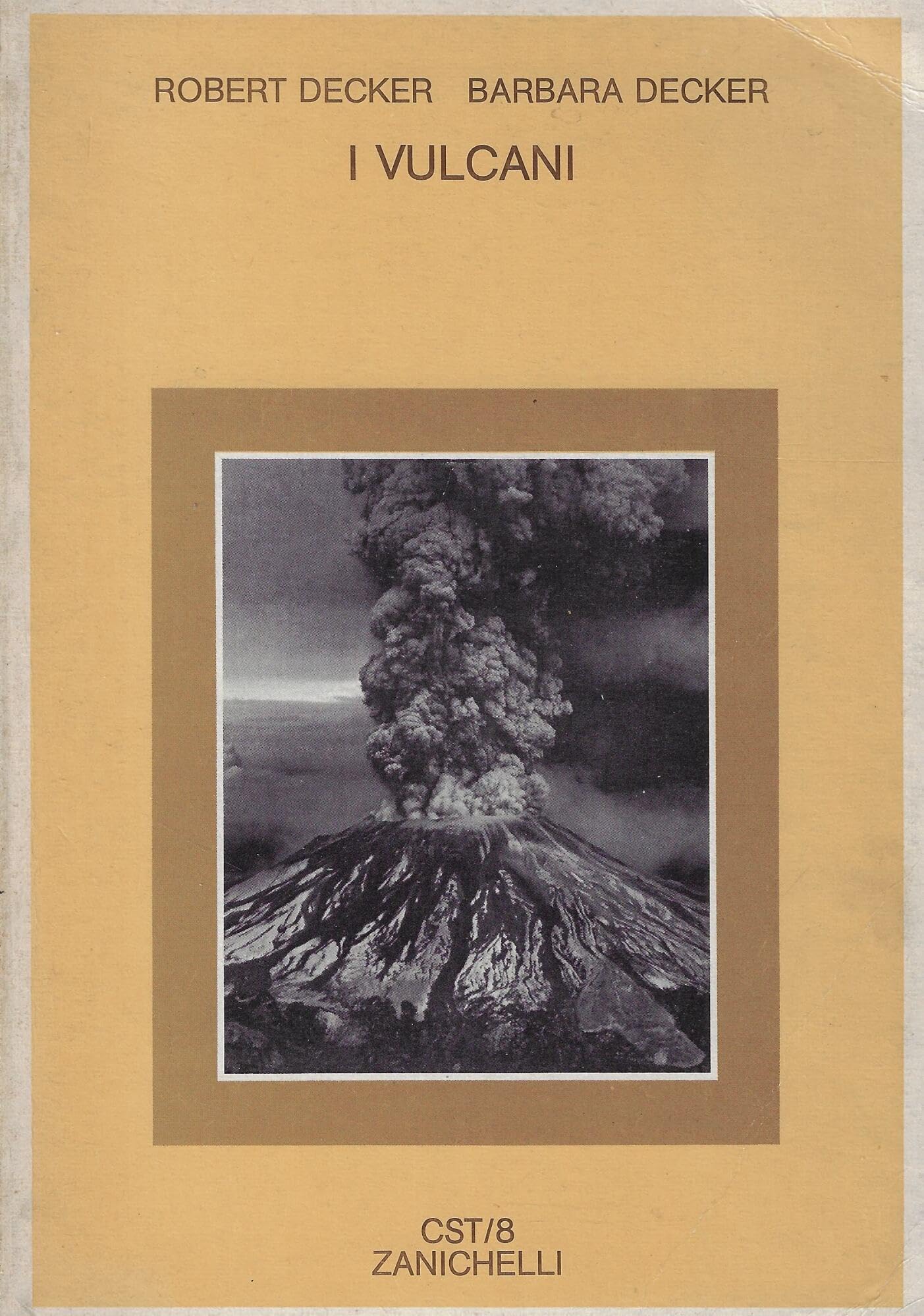 I vulcani (Collana di scienze della terra, Band 8) Geology & Geography