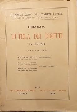 Commentario al Codice civile. Esecuzione forzata. Prescrizione e decadenza (artt. 2910-2969 del Cod. Civ.) Law