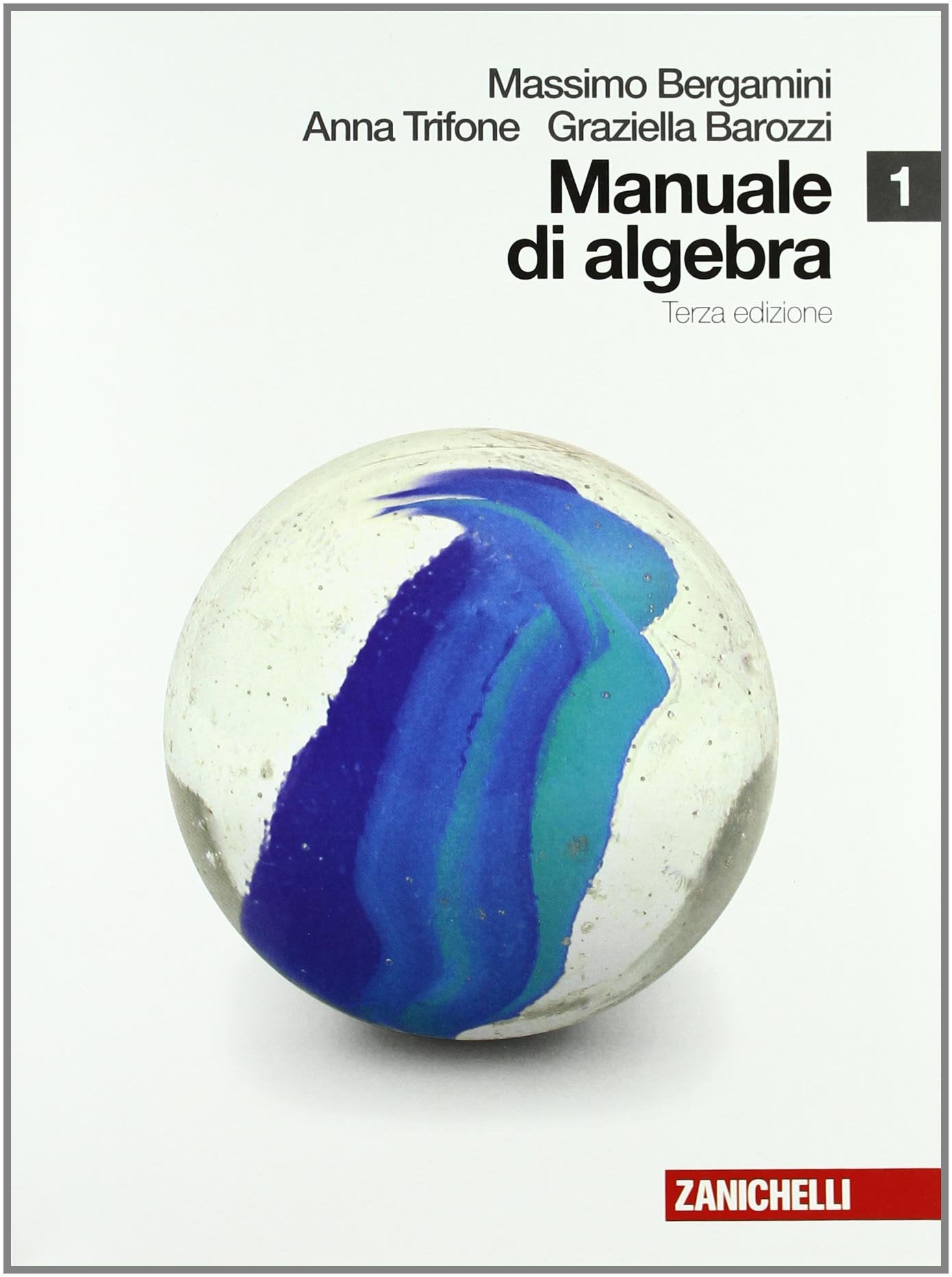 Manuale di algebra. Per le Scuole superiori. Con espansione online (Vol. 1) Professional & Reference Books