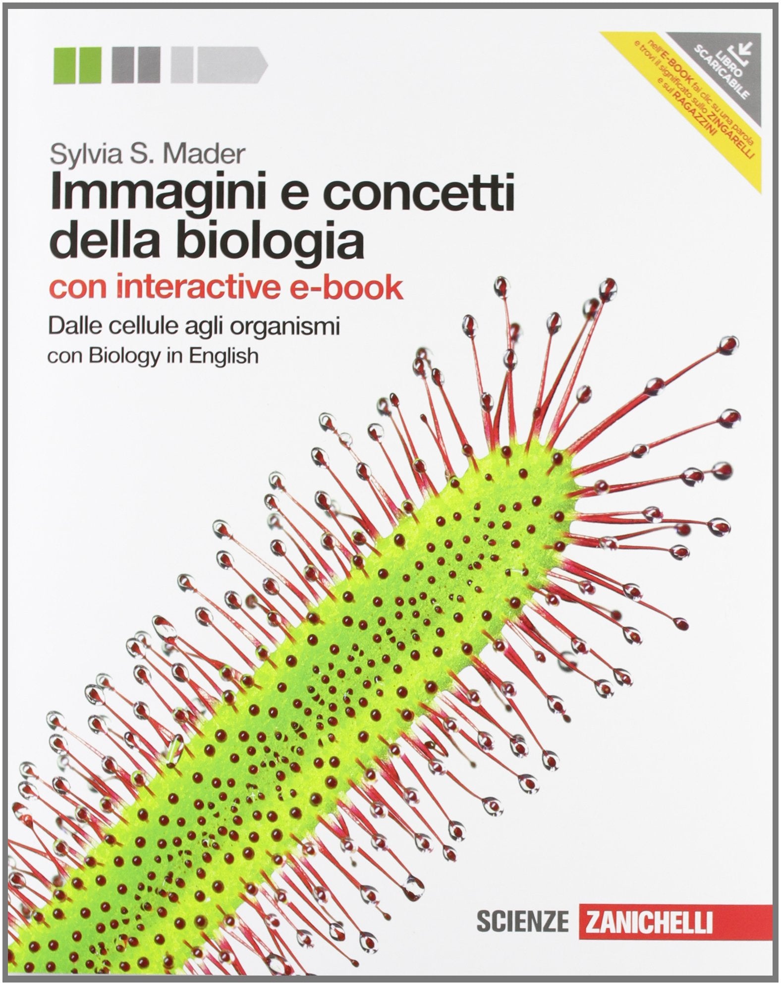 Immagini e concetti della biologia. Dalle cellule agli organismi. Con interactive e-book. Per le Scuole superiori. Con espansione online Professional & Reference Books