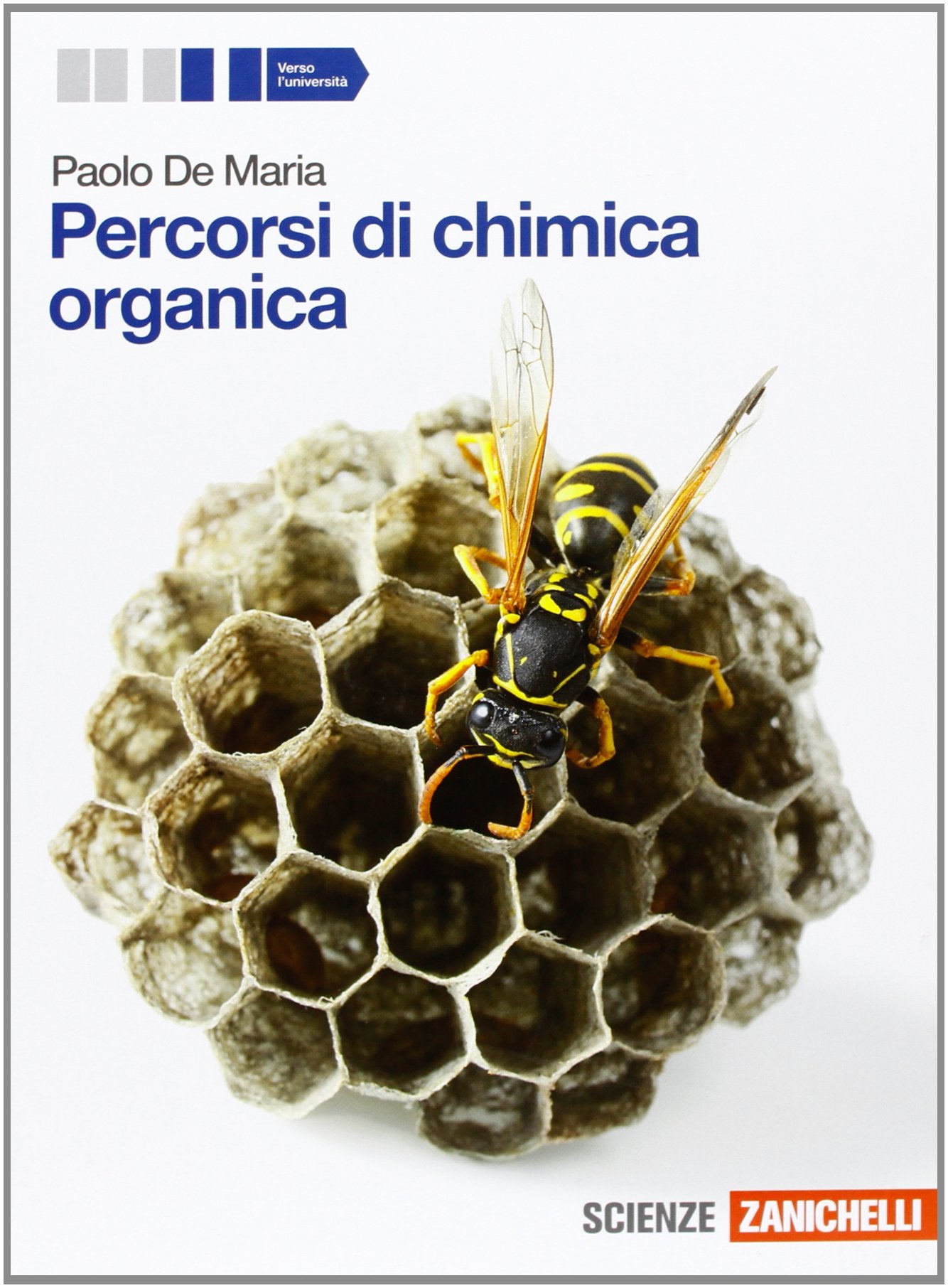 Percorsi di chimica organica. Per le Scuole superiori. Con espansione online book