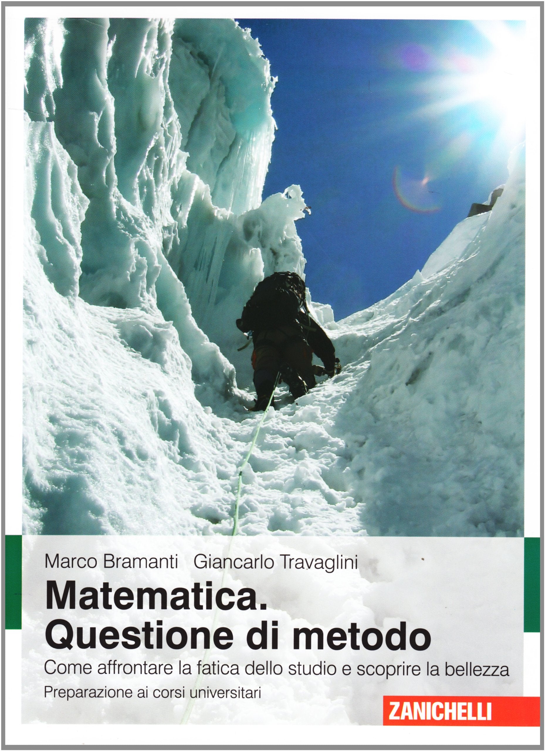 Matematica. Questione di metodo. Come affrontare la fatica dello studio e scoprire la bellezza. Preparazione ai corsi universitari book