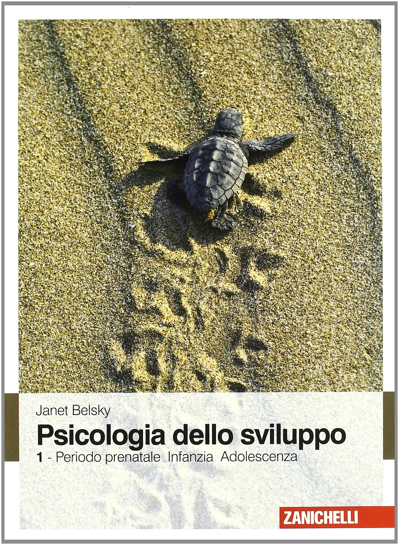 Psicologia dello sviluppo. Periodo prenatale, infanzia, adolescenza (Vol. 1) book
