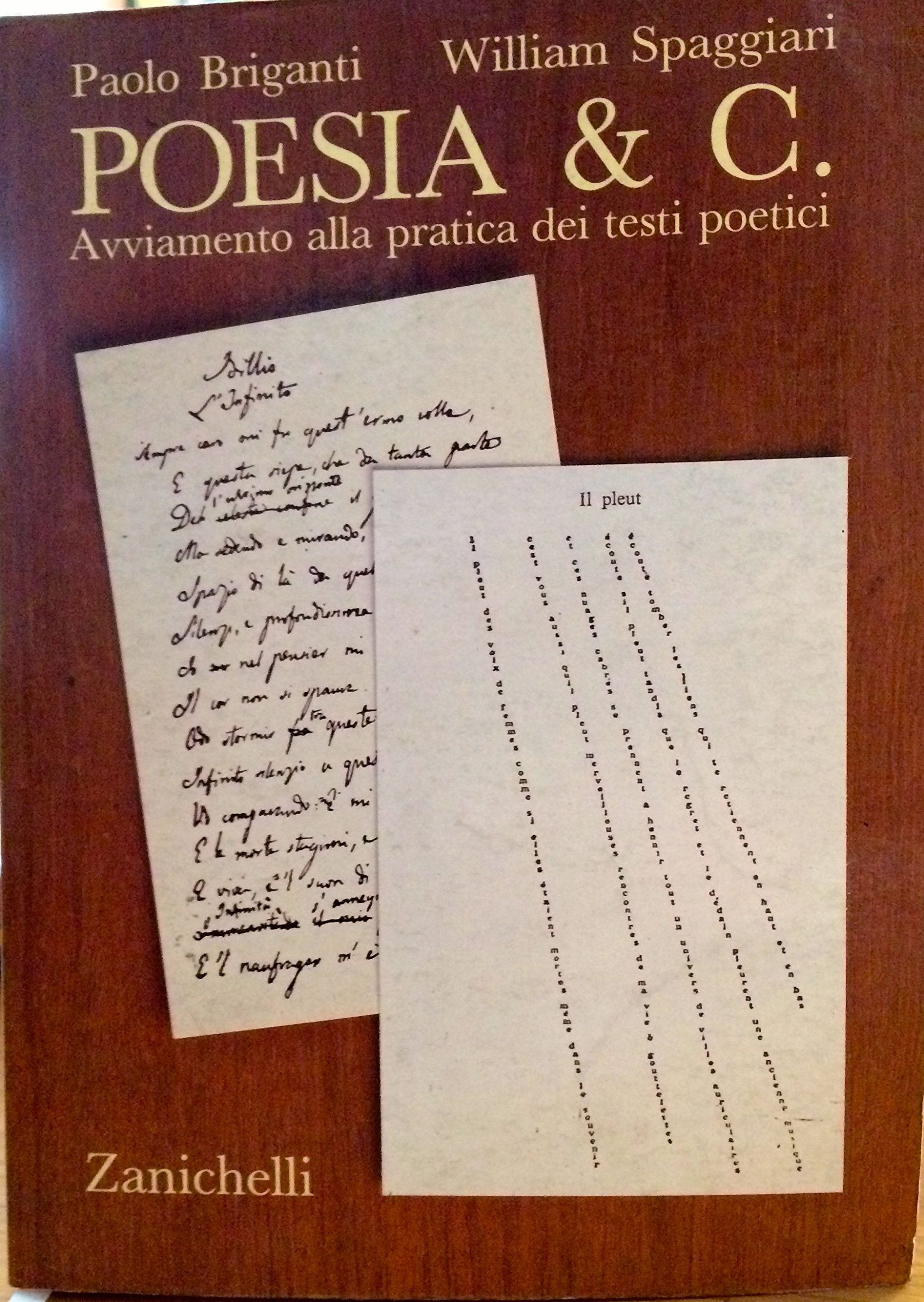 Poesia & C. Avviamento alla pratica dei testi poetici book