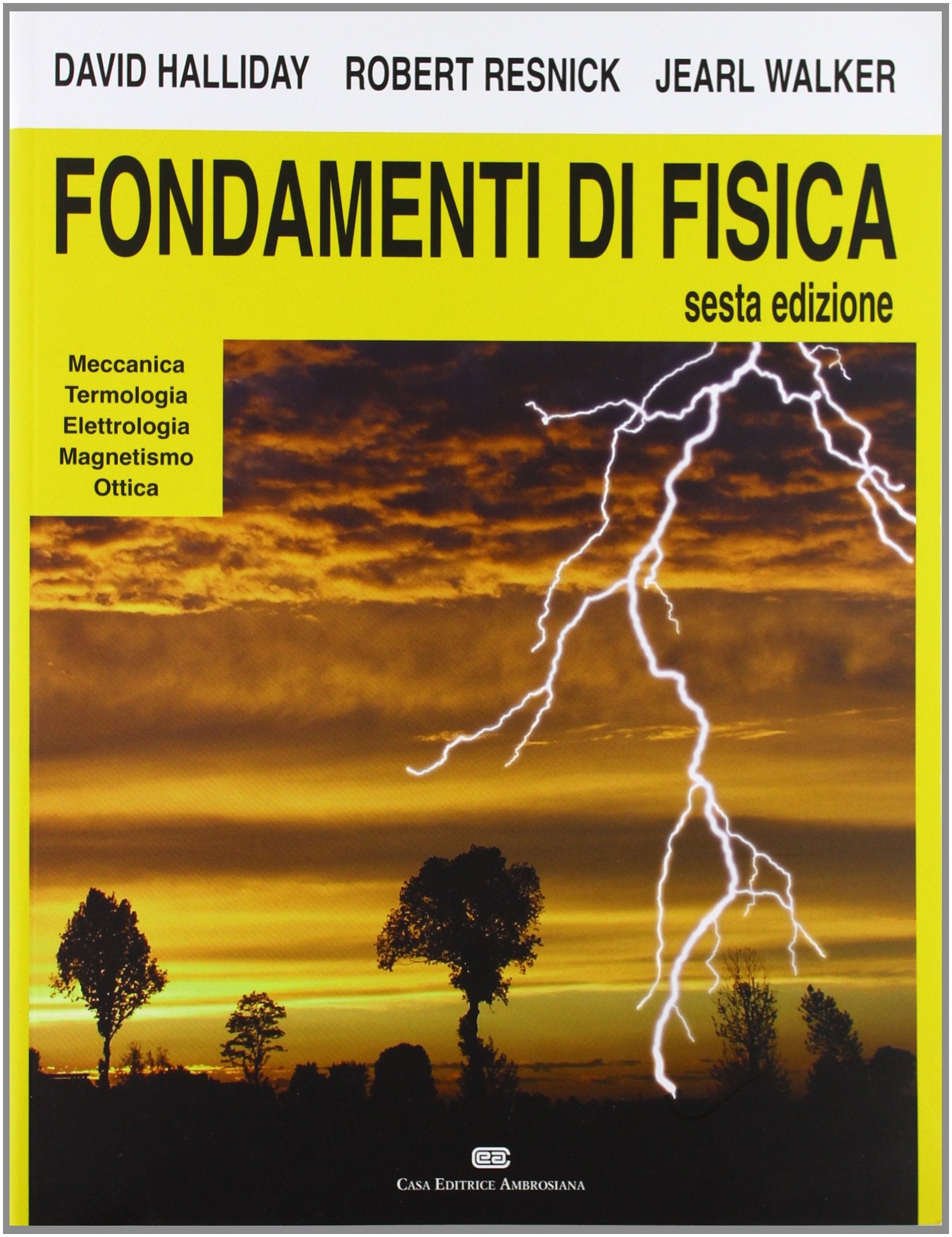 Fondamenti di fisica. Meccanica, termologia, elettrologia, magnetismo, ottica book