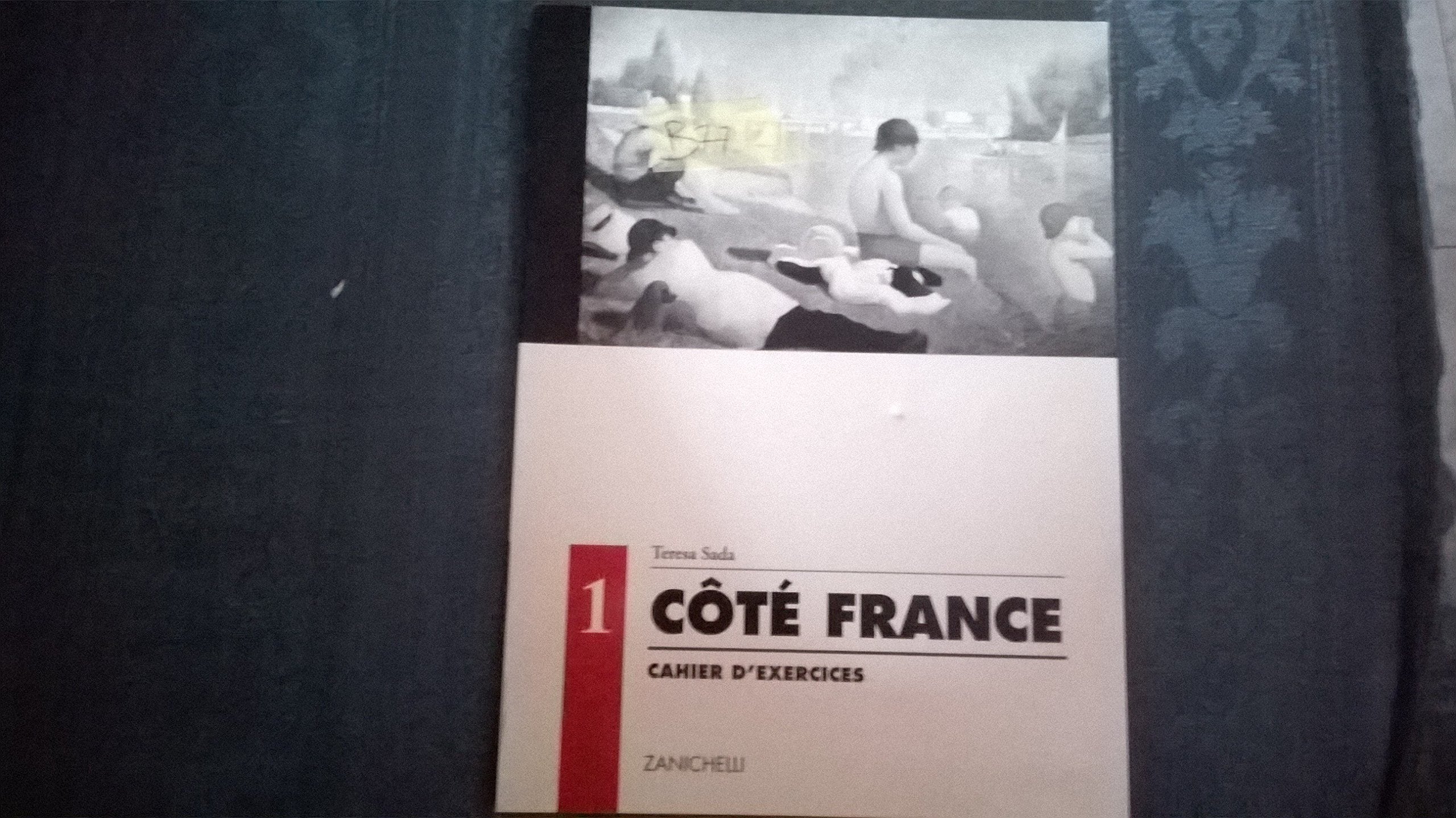 Côté France. Méthode progressive qui intègre théories de l'apprentissage et acquis linguistiques. Livre de l'élève. Per le Scuole (Vol. 1) Non-fiction