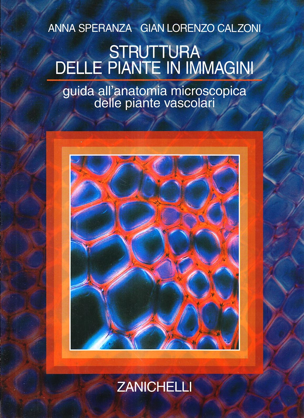 Struttura delle piante in immagini. Guida all'anatomia microscopica delle piante vascolari Natural Sciences
