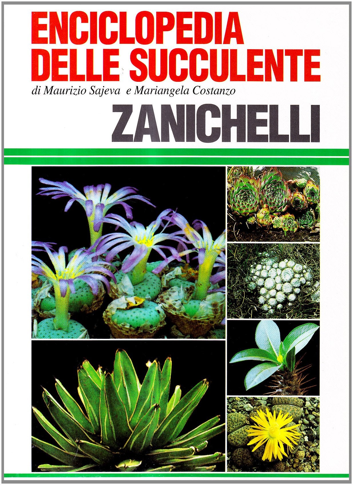 Enciclopedia delle succulente book