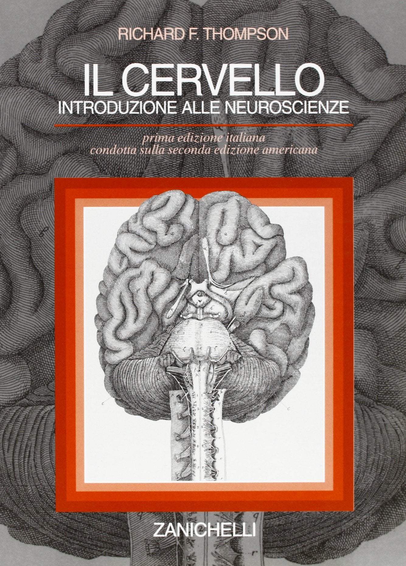 Il cervello. Introduzione alle neuroscienze book