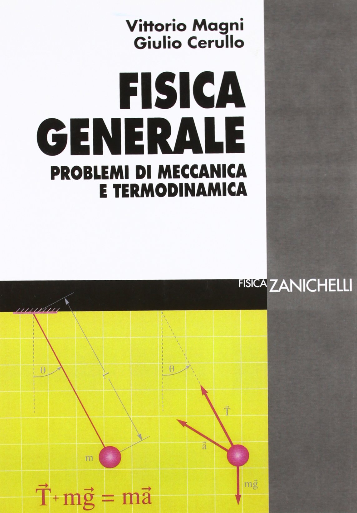 Fisica generale. Problemi di meccanica e termodinamica book