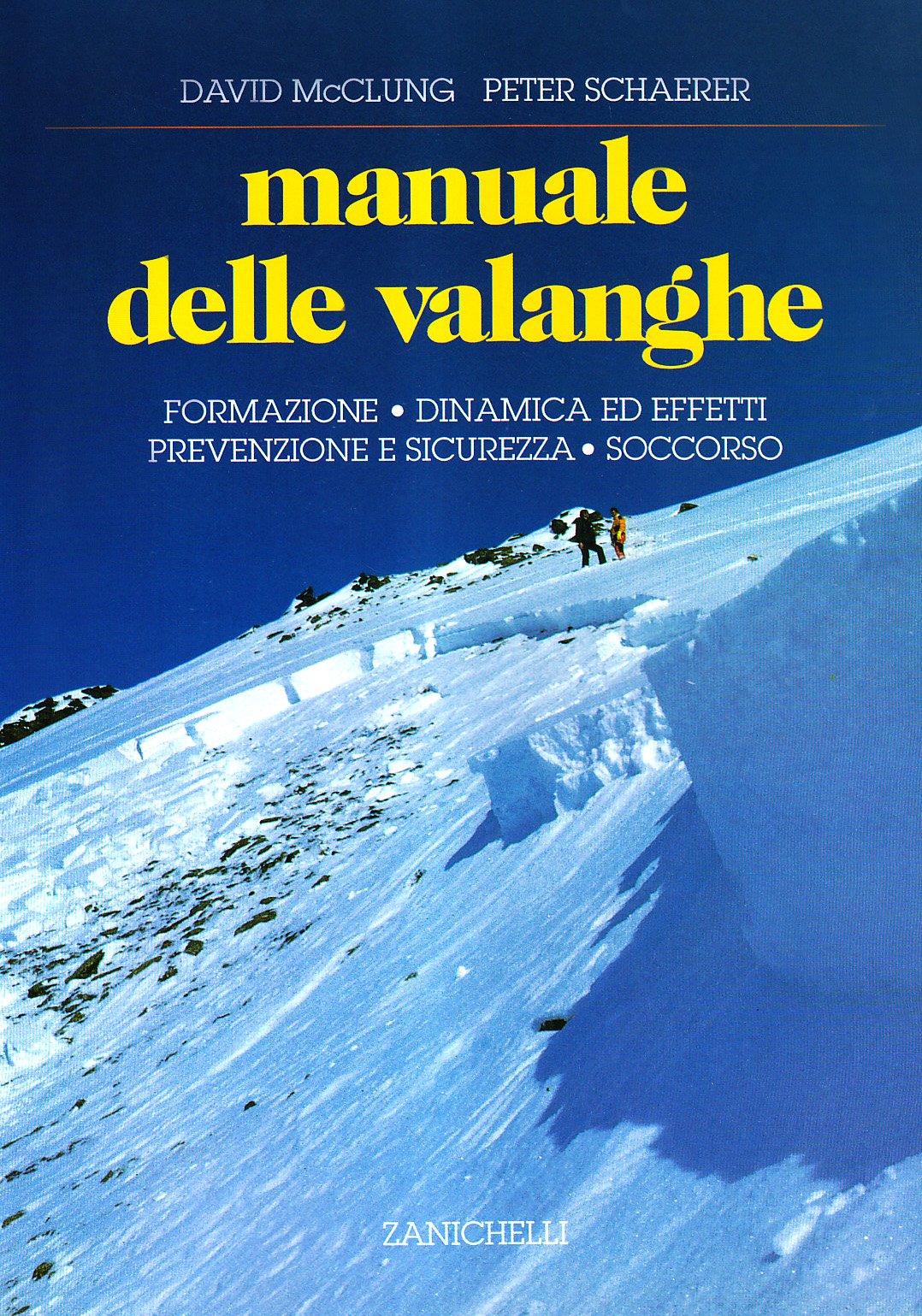 Manuale delle valanghe. Formazione. Dinamica ed effetti. Prevenzione e sicurezza. Soccorso book