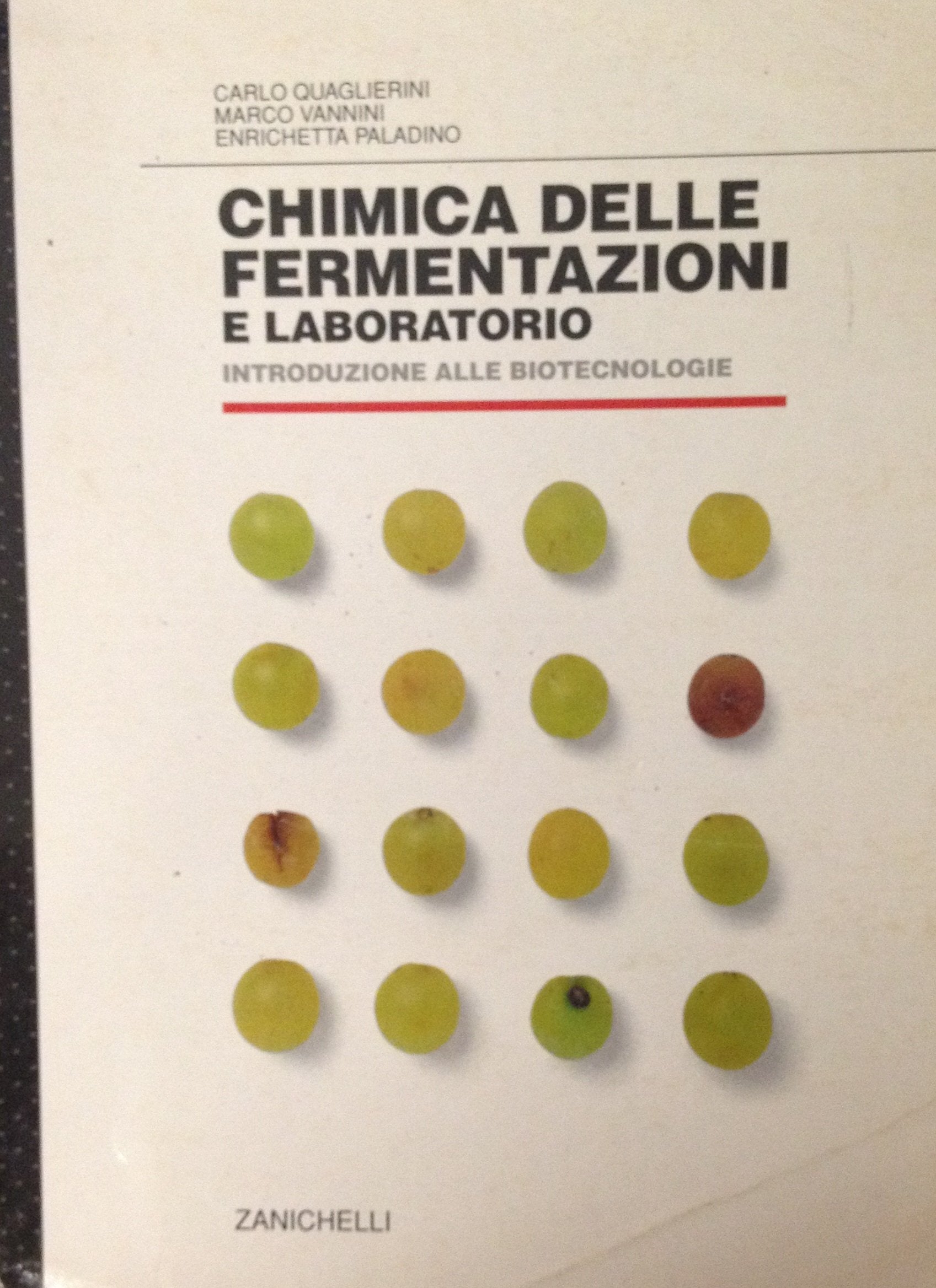 Chimica delle fermentazioni e laboratorio. Introduzione alle biotecnologie Study Guides