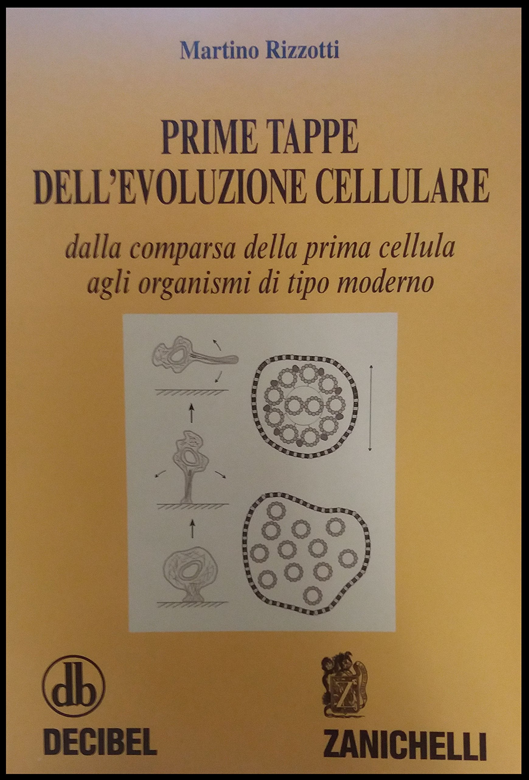 Prime tappe dell'evoluzione cellulare. Dalla comparsa della prima cellula agli organismi di tipo moderno (Biologia medicina scienze nat. Testi) Natural Sciences