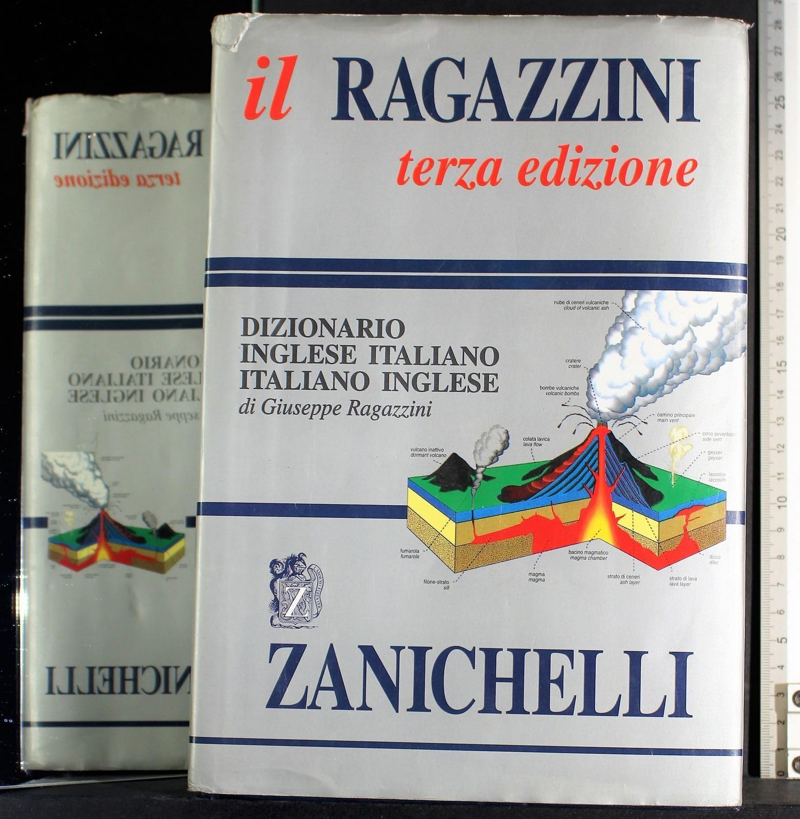 Italian Nuovo Zanichelli Dictionary (Opere di consultazione. Lingua inglese) Foreign Languages ​​& Dictionaries