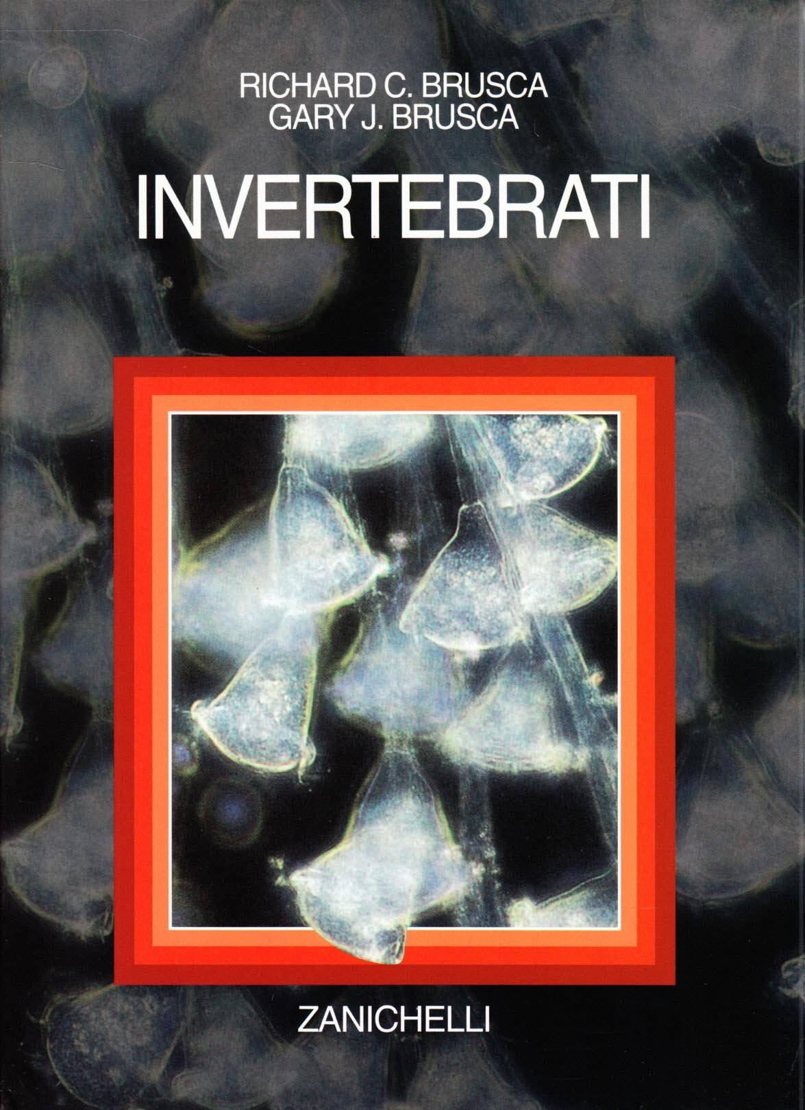 Invertebrati (Biologia medicina scienze nat. Testi) Natural Sciences