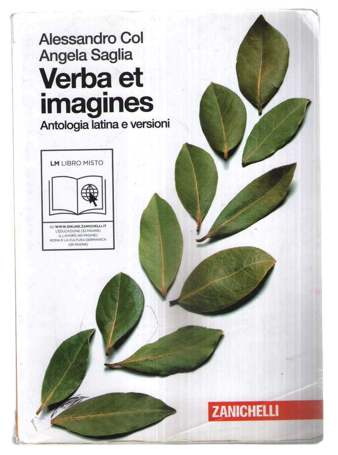 Verba et imagines. Antologia latina e versioni. Per le Scuole superiori. Con espansione online Professional & Reference Books