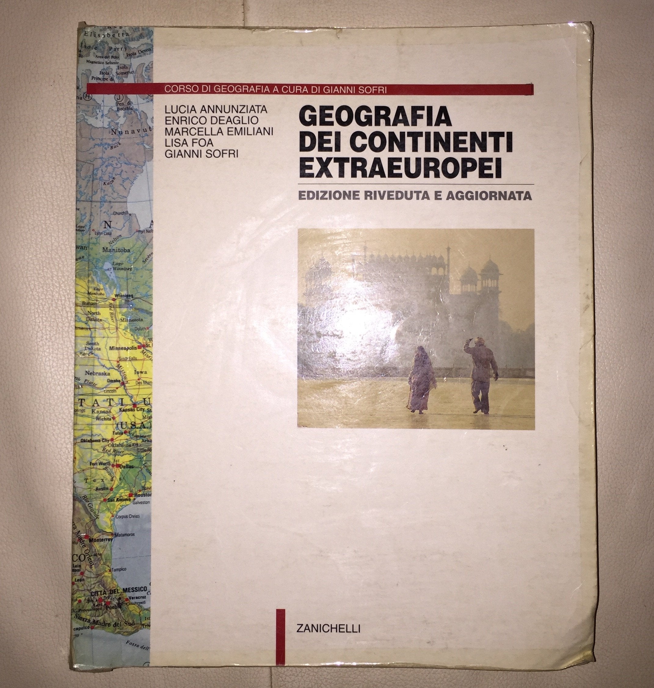 Geografia dei continenti extraeuropei. Per le Scuole superiori book