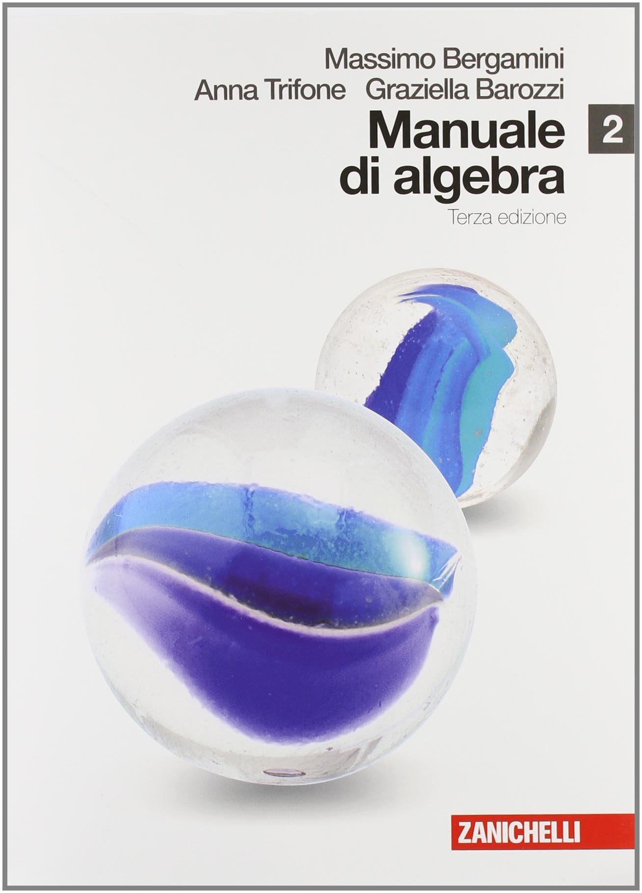 Manuale di algebra. Per le Scuole superiori. Con espansione online (Vol. 2) Professional & Reference Books