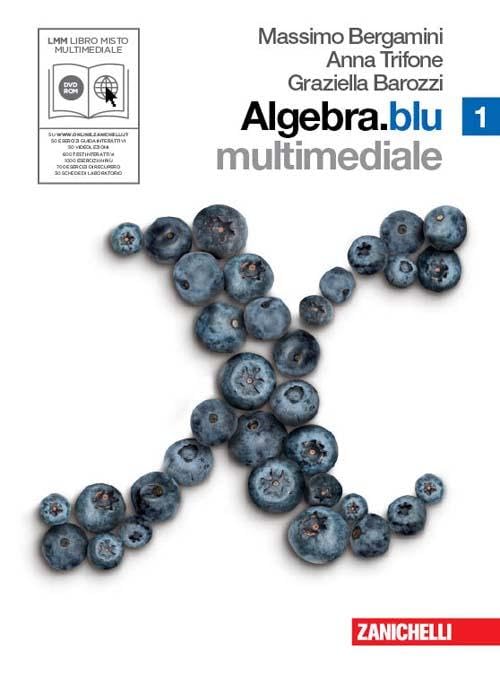 Algebra. Blu. Per le Scuole superiori. Con CD-ROM. Con DVD. Con espansione online (Vol. 1) Professional & Reference Books