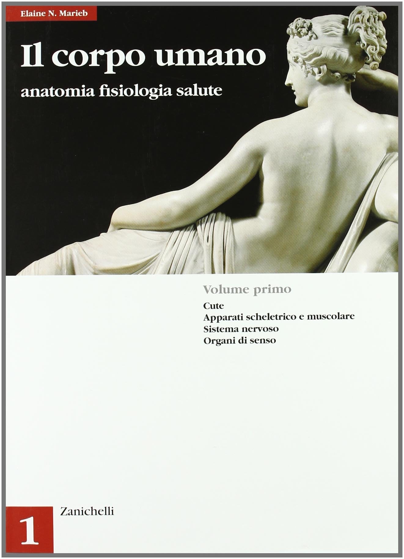 Il corpo umano: anatomia, fisiologia e salute. Per le Scuole superiori. Cute, apparati scheletrico e muscolare, sistema nervoso, organi di senso (Vol. 1) book