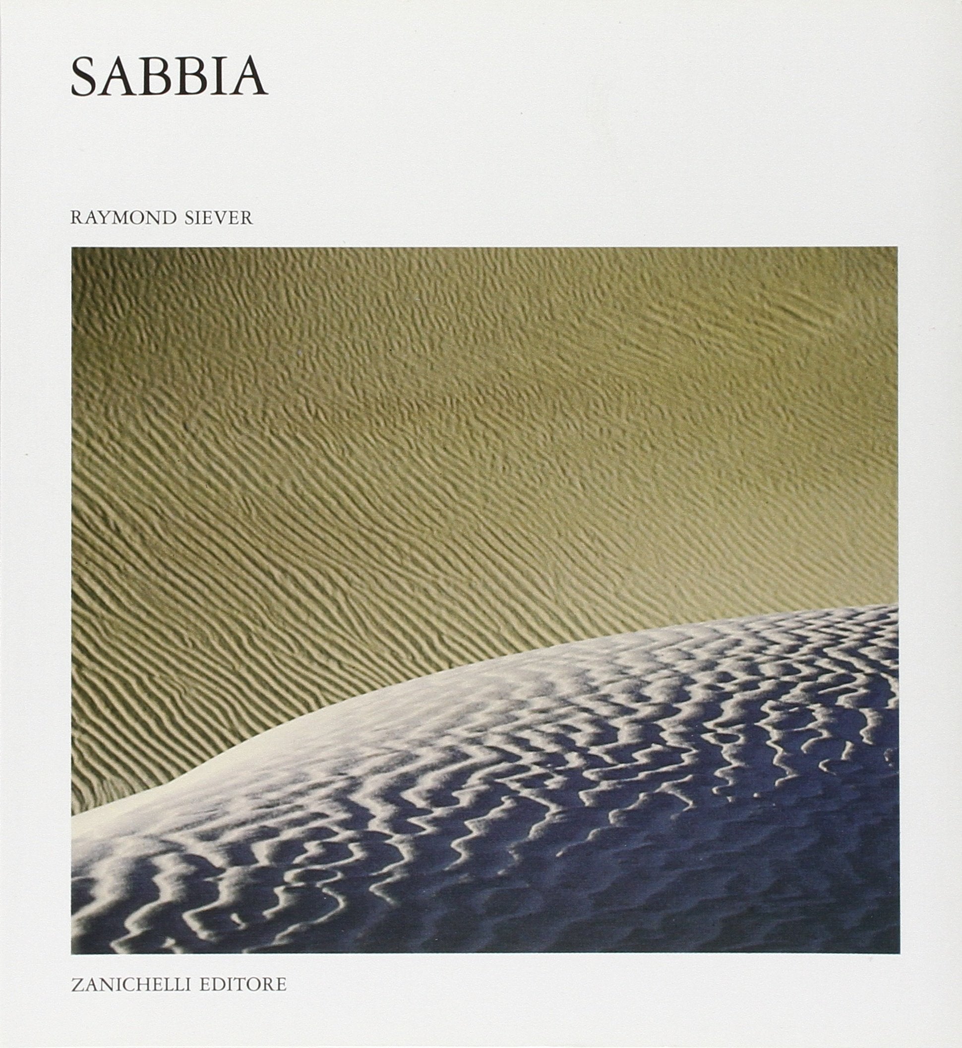 Sabbia (Nuovi classici della scienza, Band 11) Business & Technology